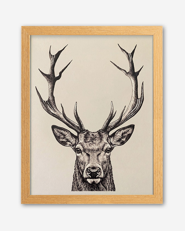 Cervo illustrazione - Immagine decorativa su Tela con Cornice o Stampa - immagine 4