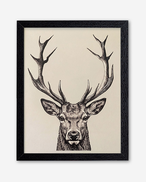 Cervo illustrazione - Immagine decorativa su Tela con Cornice o Stampa - immagine 5