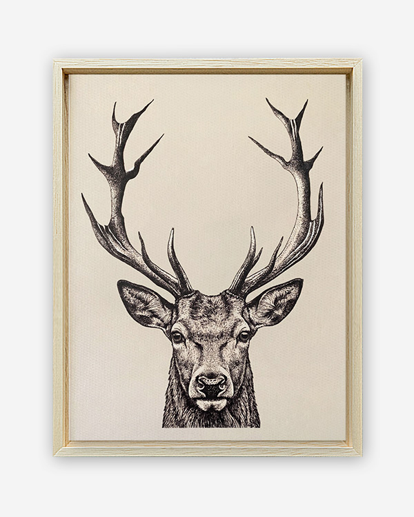 Cervo illustrazione - Immagine decorativa su Tela con Cornice o Stampa - immagine 2