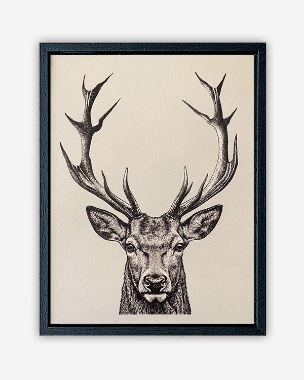 Cervo illustrazione - Immagine decorativa su Tela con Cornice o Stampa - immagine 3