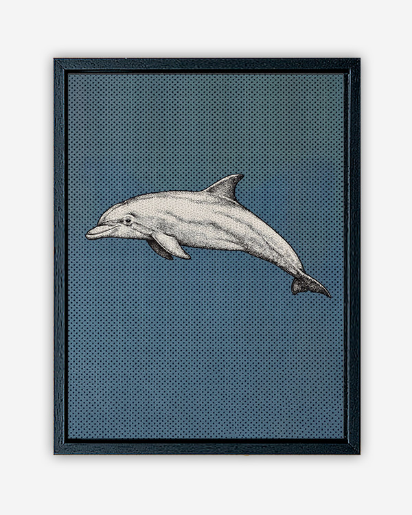 Delfino sfondo colore - Immagine decorativa su Tela con Cornice o Stampa - immagine 3