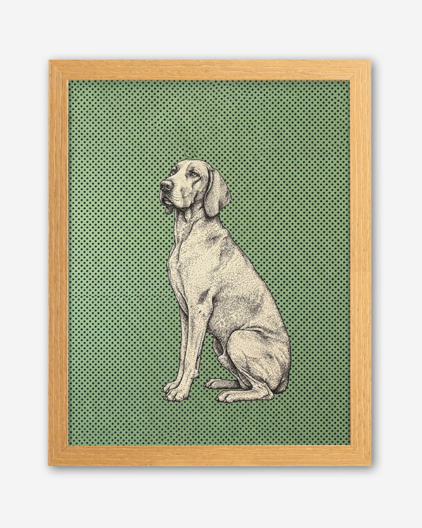 Dog sfondo colore - Immagine decorativa su Tela con Cornice o Stampa - immagine 4