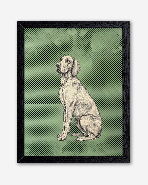 Dog sfondo colore - Immagine decorativa su Tela con Cornice o Stampa - immagine 5