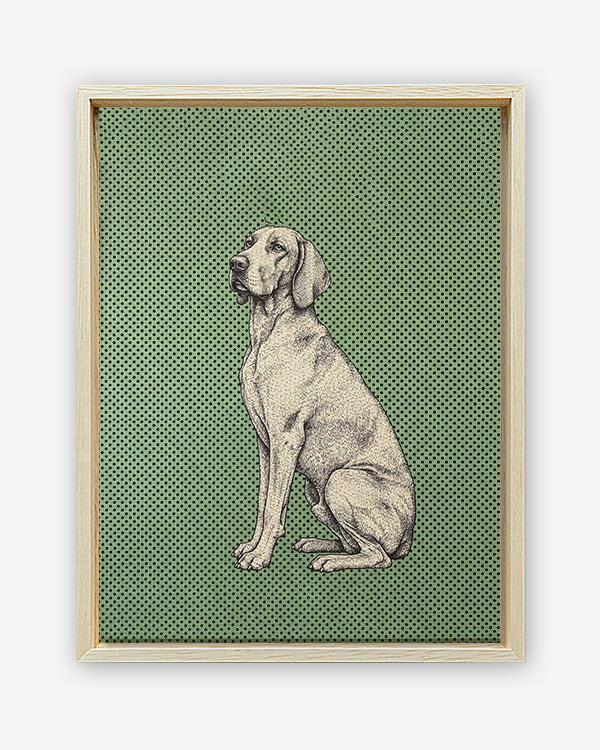 Dog sfondo colore - Immagine decorativa su Tela con Cornice o Stampa - immagine 2