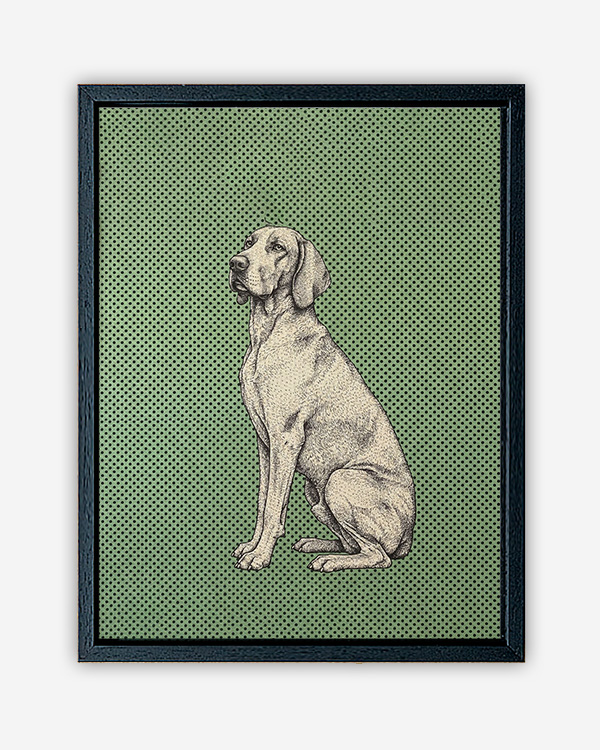 Dog sfondo colore - Immagine decorativa su Tela con Cornice o Stampa - immagine 3