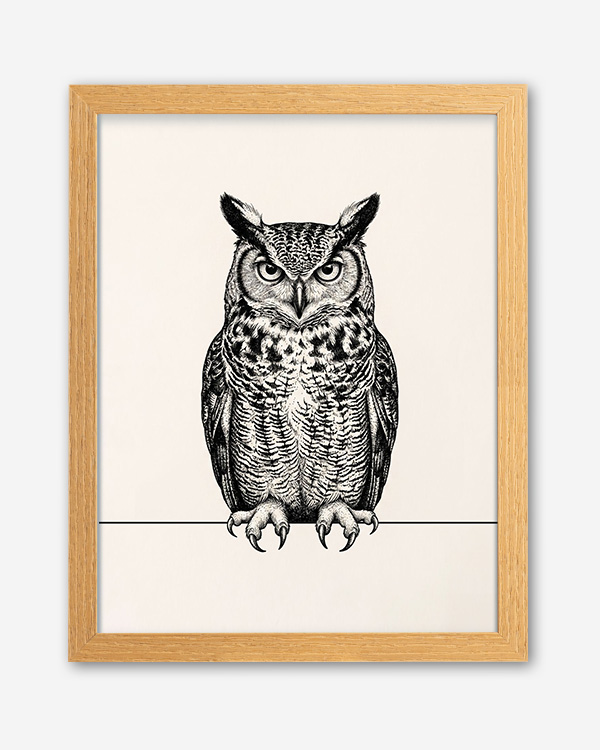 Gufo illustrazione - Immagine decorativa su Tela con Cornice o Stampa - immagine 4