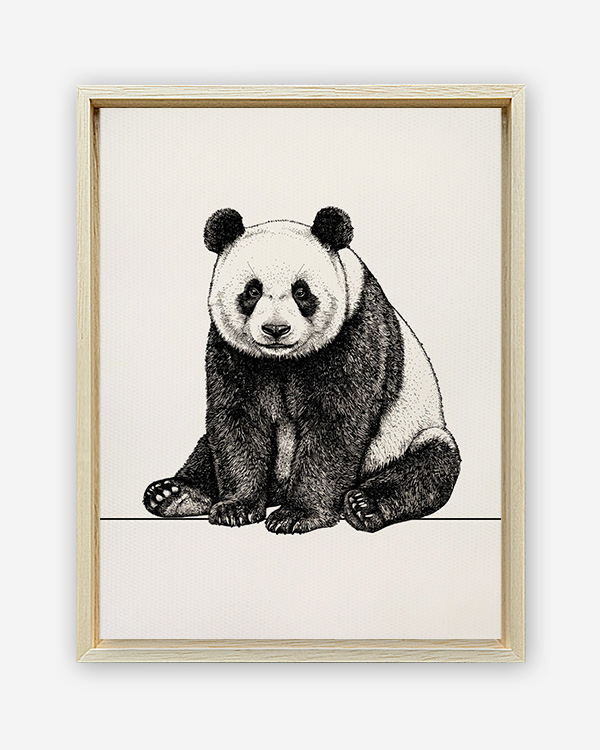 Panda illustrazione - Immagine decorativa su Tela con Cornice o Stampa - immagine 2